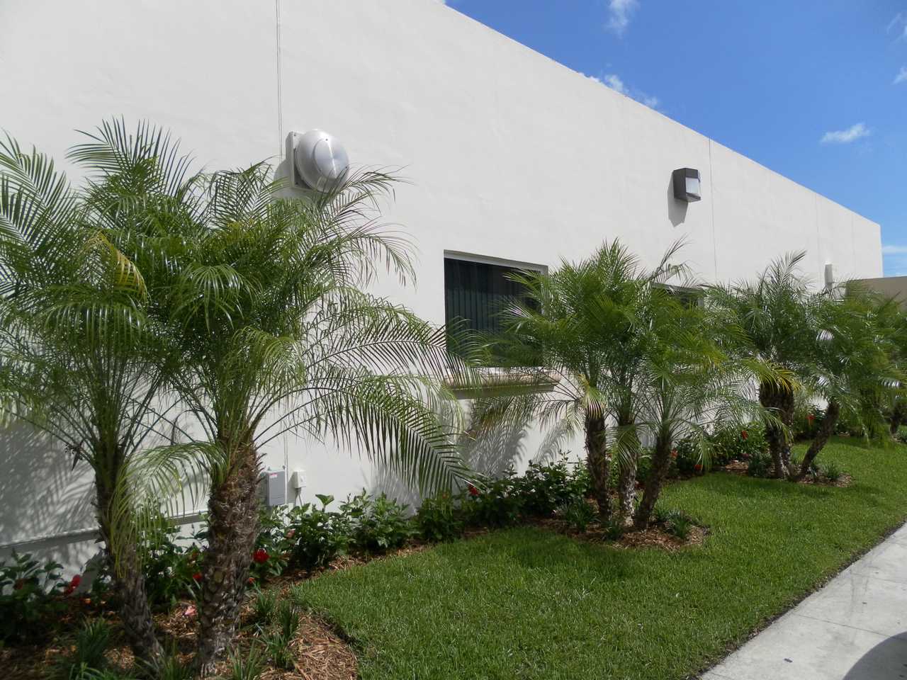 Commercial remodeling contractor Miami office renovation project